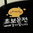 자동차 초보운전연수 ‘유어파일럿’ 내돈내산 후기 비용