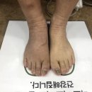 신체발란스운동연구소 이미지