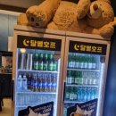 달별호프