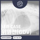 화이트동물메디컬센터 이미지