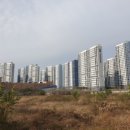 평택모산초등학교 건너편 이미지