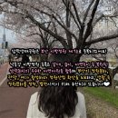 상락1호 이미지