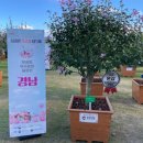 무궁화경남 이미지