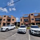 로뎀나무 이미지