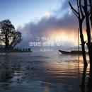 아이에스엠지ISMG 이미지