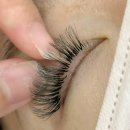 뷰티 다옴 | 초량속눈썹연장추천 눈매 맞춤 디자인 속눈썹 풍성한 러시안볼륨 연장 : 초량 다옴뷰티