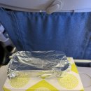 베이징 | 에어차이나 인천-마드리드 베이징 경유 후기 (환승호텔,마일리지,기내식)