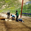 사슴목장 이미지