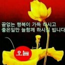 고스톱 인생사 이미지