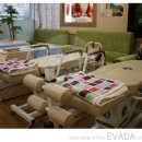 에바다체험케어 이미지