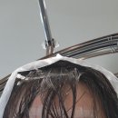 명랑핫도그(범계점) | 범계미용실 유라움 셋팅펌 후기