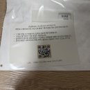 개벤져스 | 미니언즈런 2025 부산 10km 참가 및 완주 리얼솔직후기 (복장, 날씨 등)