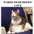 냠냠 이미지
