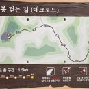 평화공원 공중화장실 이미지