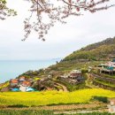 가천다랭이마을 이미지