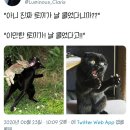 페스코