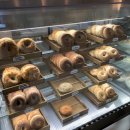 양재미디어(주) | 🌿 「수만 가지 틈」 25/08/13 weds. 양재 #토다 베이글