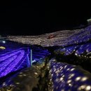 율포솔밭해변1 이미지