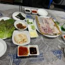 수원 망포 이모카세 노포 맛집 &#34;수산포차 청해&#34; (내 돈 내산)
