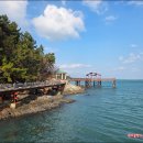 정남진 해양낚시공원 | 장흥 정남진해양낚시공원 2025년 9월 10일 재개장(수~일 운영, 월&amp;화 휴장)