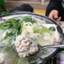 선도막회