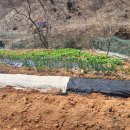 정관농장 이미지