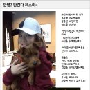 미미케이크팩토리 이미지