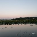 동방낚시터 | 가을 차박 낚시 화성 동방낚시터 불멍까지 완벽했다