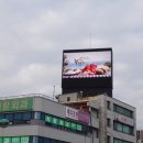 꽃다지광고 이미지