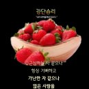 샬롬 - 순천시 | 샬롬