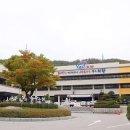 행정용 80 이미지