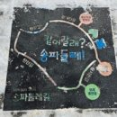 백로마을 | 2019년까지 위례신도시 살 때 매일 다닌 장지천 다시 방문, 물이 맑아여 그런지 중대백로가 많이 보였다.