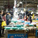 왕왕작작 이미지