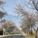 산들바다애(愛)민박 | 해남 한옥 산들바다애