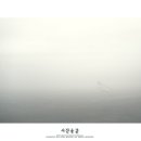 미적공감 이미지