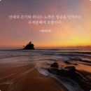 365안락한치과 이미지