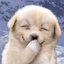 민 하우스 이미지