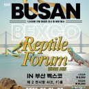 준테일