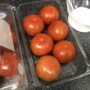 완숙토마토 보관법 토마토 보관법 냉장 및 냉동 이미지