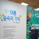 7월 서천그림책학교 | 원주 그림책 페스티벌 &#39;여름 숲속의 기억&#39;후기, 남산골문화센터