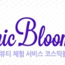수아영