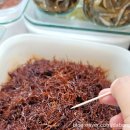 은창 | 속초중앙시장젓갈 은창젓갈 집에서 맛있게 먹은 후기