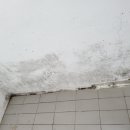 꽃바위 아이파크 이미지