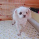 이쁘개(내포신도시점) 이미지