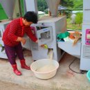 정미보리밥 이미지