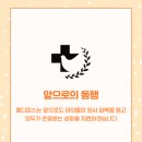 메디피스 이미지