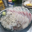 산오징어세상 네이버블로그