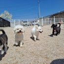 미르유치원 이미지