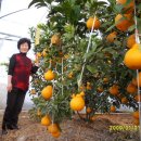 운암농장 이미지