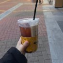 여성노화와 건강관리법 | 여성건강바이블 _갑상샘 유방 난소 자궁경부 암예방 책추천